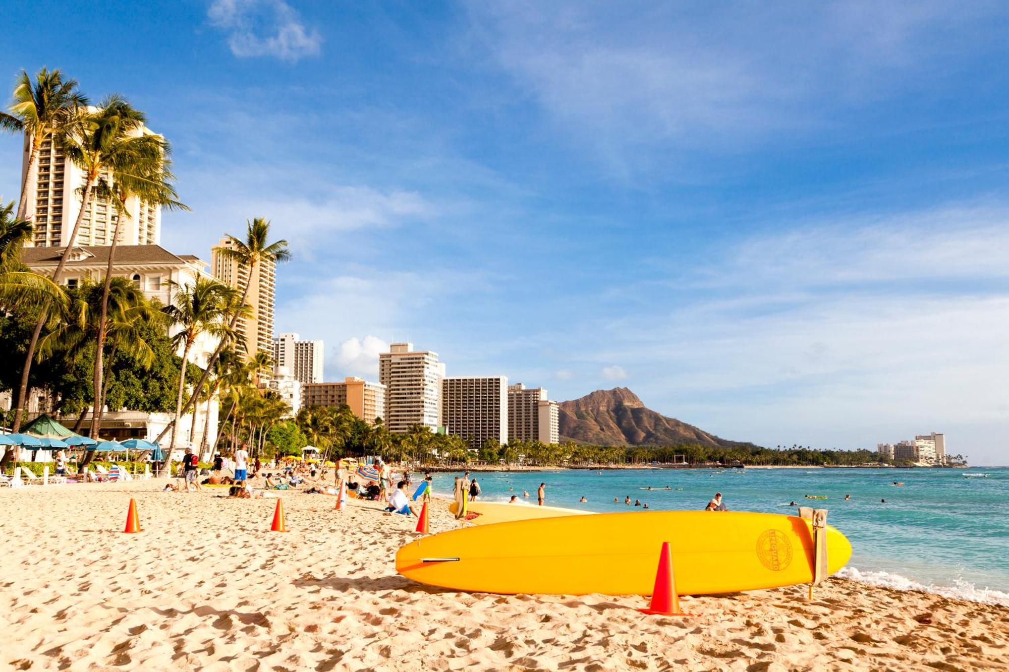 Appartamento Beautiful Ocean And Diamond Head Views With Parking Honolulu Esterno foto
