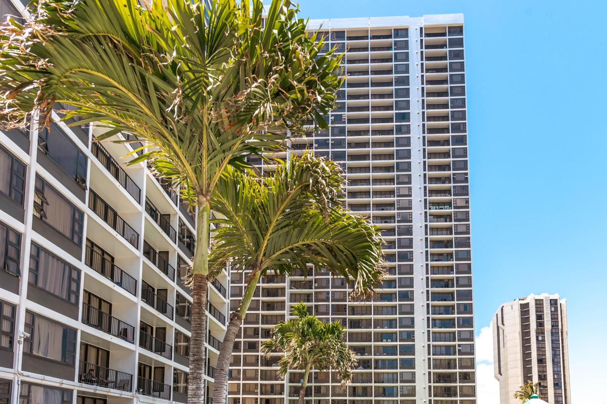 Appartamento Beautiful Ocean And Diamond Head Views With Parking Honolulu Esterno foto