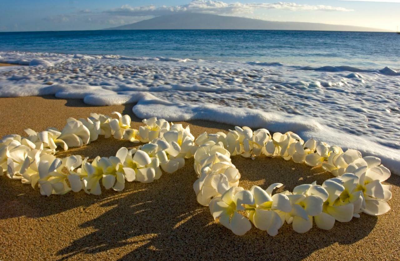 Appartamento Beautiful Ocean And Diamond Head Views With Parking Honolulu Esterno foto