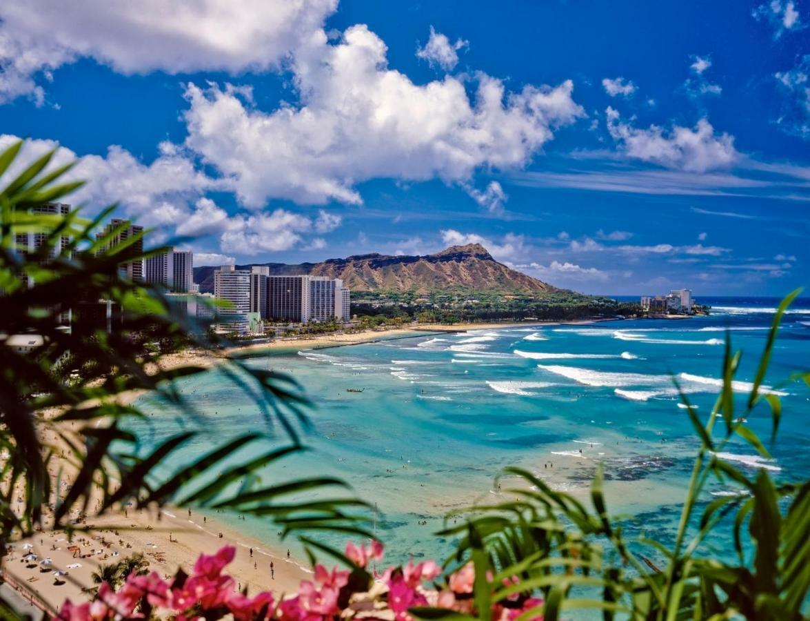 Appartamento Beautiful Ocean And Diamond Head Views With Parking Honolulu Esterno foto